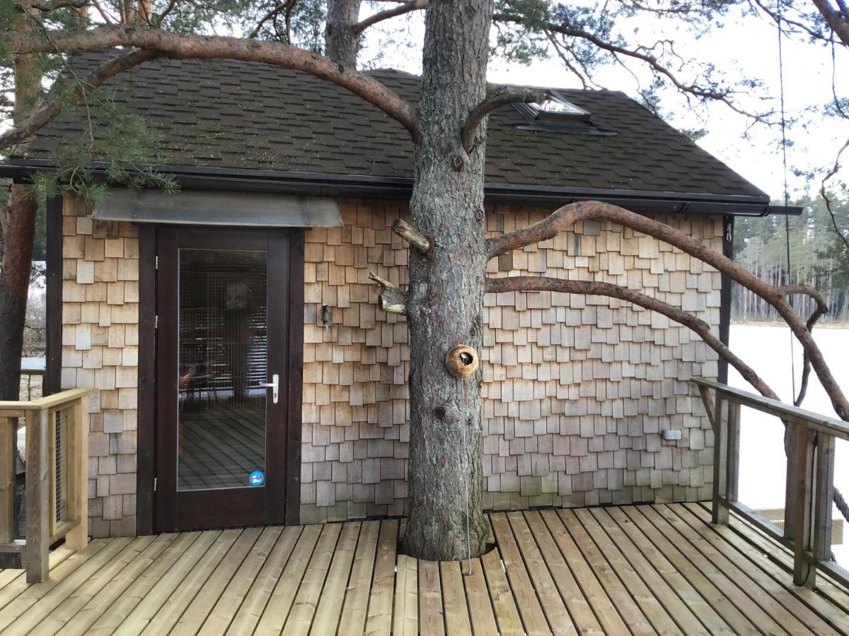 Treehouse Ciekurs Dukuri Exterior foto