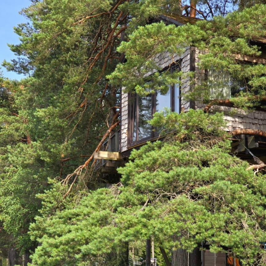 Treehouse Ciekurs Dukuri Exterior foto