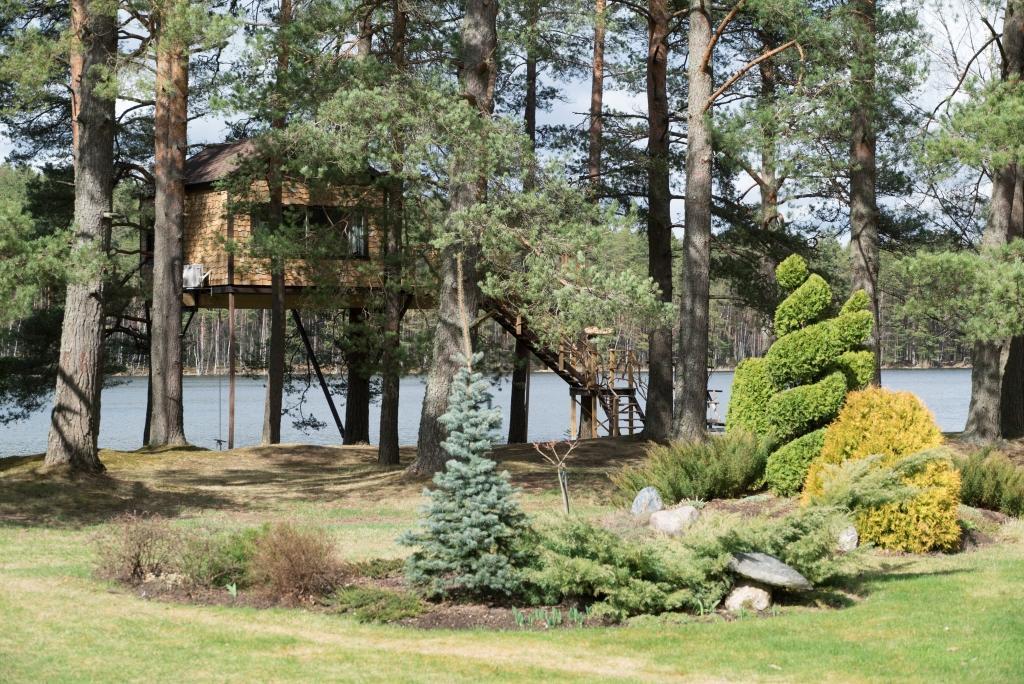Treehouse Ciekurs Dukuri Exterior foto