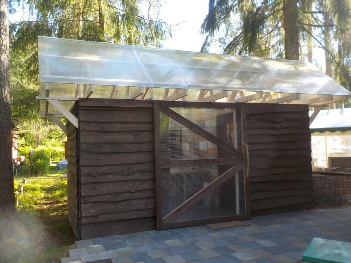 Treehouse Ciekurs Dukuri Exterior foto